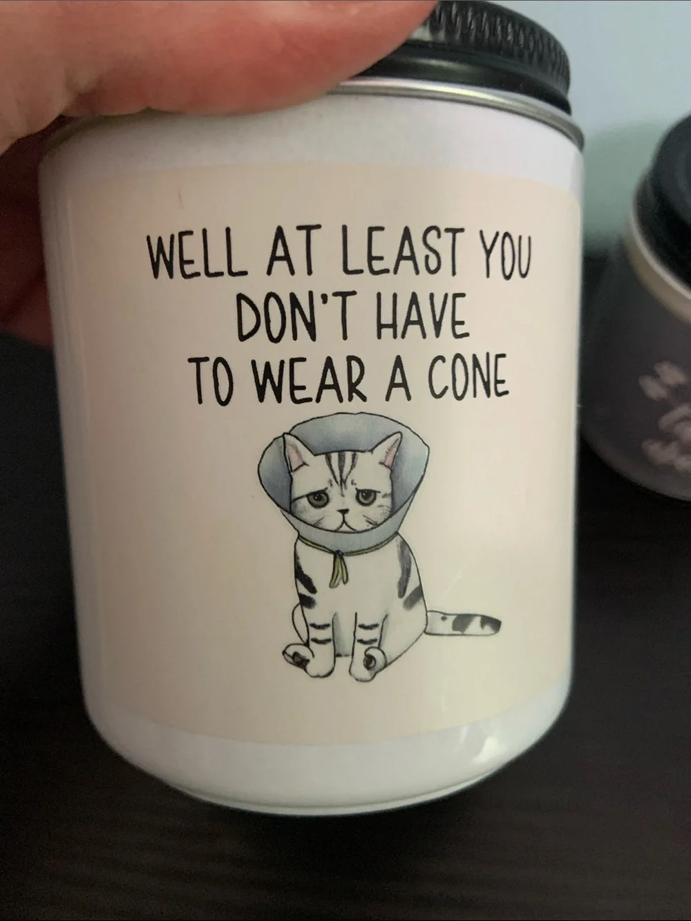 Comical Cat Themed Jar Soy Candles